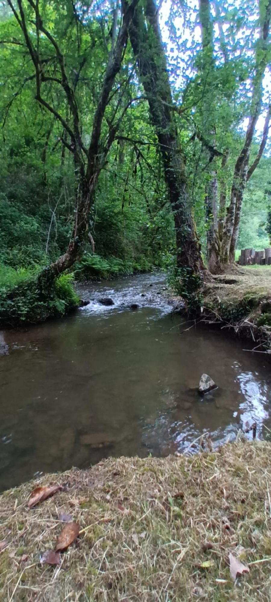 Domaine Le Mayne Chabrignac Buitenkant foto